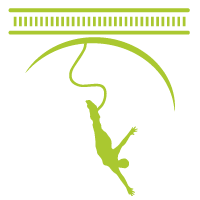 Logo - Saut à l'élastique à Luz Saint-Sauveur - Pyrénées. Luz Aventure au Pont Napoléon